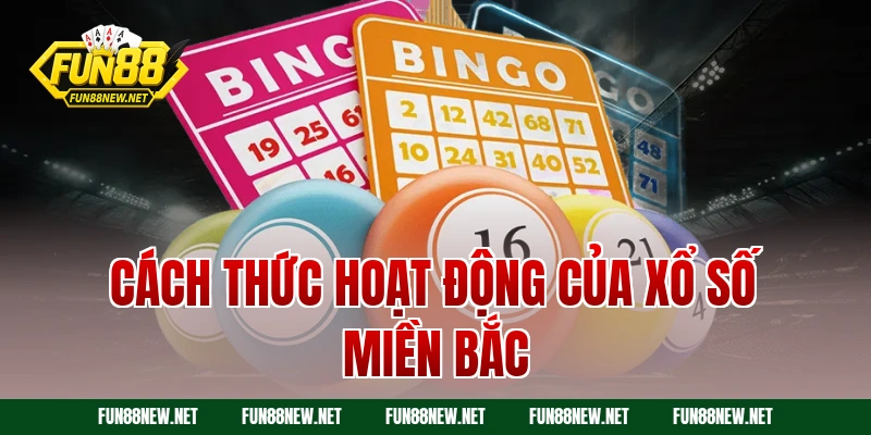 Xổ số miền Bắc: Hướng dẫn chơi và kinh nghiệm trúng lớn - Nofeta